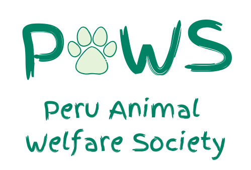 Local Charities Worldwide | Charity Profile | PAWS - Animal Welfare Society in Cusco, Peru