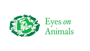 Local Charities Worldwide | Animal Welfare Charity Profile - Eyes on Animals in Amsterdam, the Netherlands